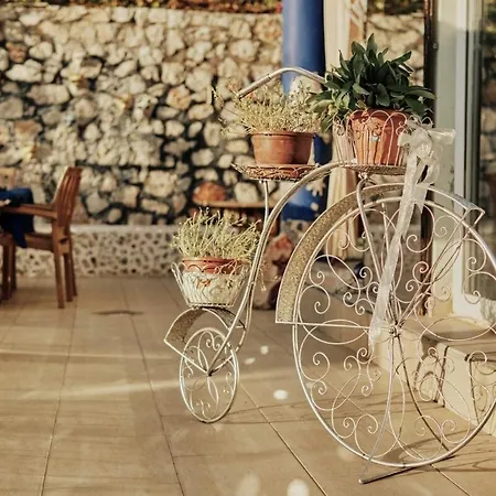 فيلة Myvillacity Nordic Dream كاس